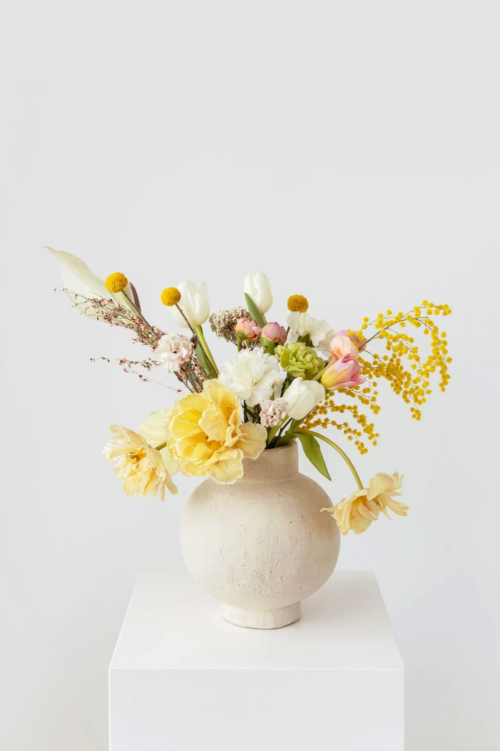 A year in stems photographic reference